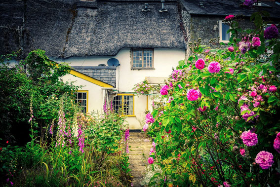 Maximise the value of your home with one easy tip: a stunning garden!