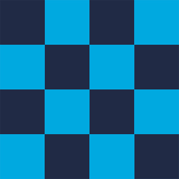 Flag - Team 6